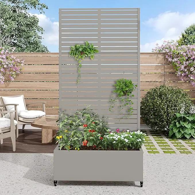Casaphoria Metal Raised Garden Bed with Trellis and Wheels, 72"x35"x16" Planter Box for Climbing Plants, Vegetables & Vines, Features Drainage Holes and Privacy Screen (Grey-Louvered) by GreenHaven Gardens