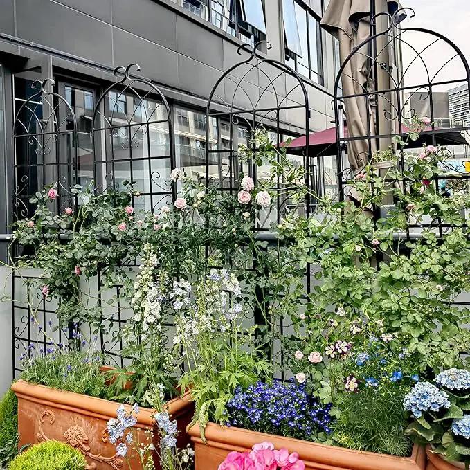 Metal Garden Trellis Rustproof Trellis for Climbing Plants Outdoor Flower Support (Black-4 Pack, 71"x19.7") by GreenHaven Gardens