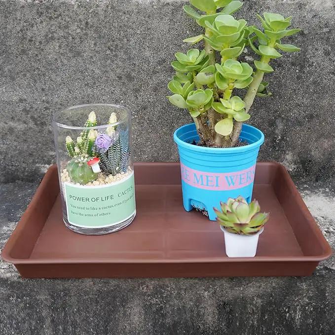 Plant Growing Trays 4 Pack, Plant Tray, 14.5"x11", Heavy Sturdy Plastic Plant Saucer Seed Trays, Seedling Starter Tray, Plant Drip Trays for Indoors, Seed Starter Growing Tray (Chocolate) by GreenHaven Gardens