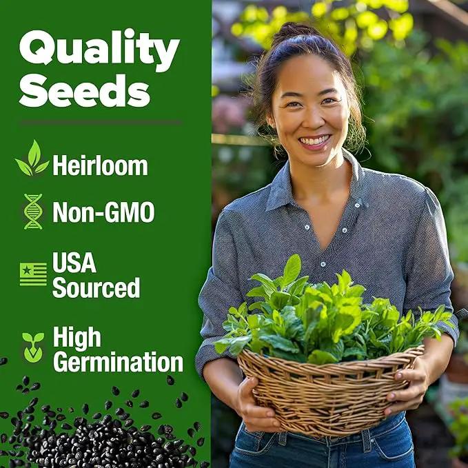 HOME GROWN Premium Common Mint Seeds (Bulk Pack) 3,600 𝗡𝗢𝗡-𝗚𝗠𝗢 𝗨𝗦𝗔 Heirloom Herb Seeds, USA Sourced | Ideal for Planting Outdoors or Indoors for a Fresh Mint Tea Garden (Mentha spp) by GreenHaven Gardens