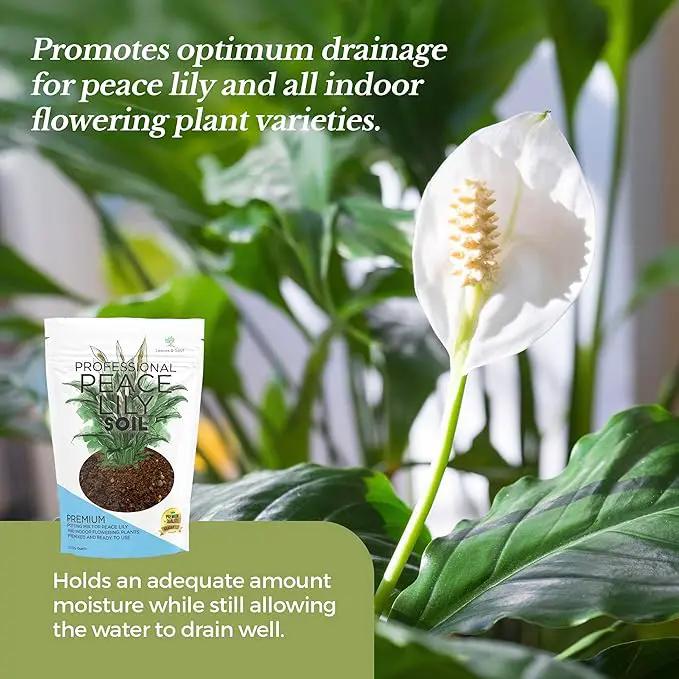 Professional Peace Lily Soil | Large 2.2 Quarts Ready to Use for Peace Lily Plants | Peat Moss, Coco Coir, Perlite, Dolomite | Made in USA by GreenHaven Gardens