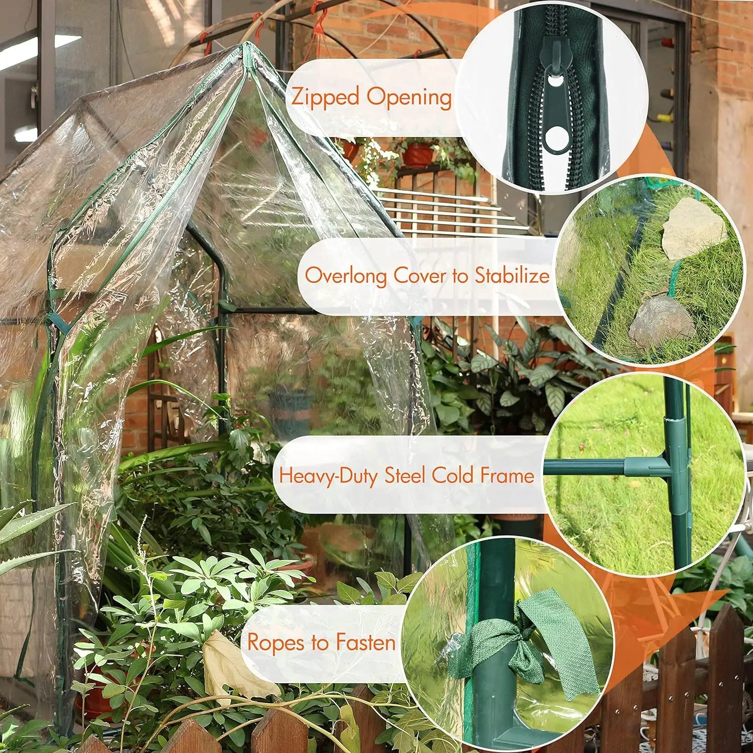 Gardzen Mini Greenhouse Heavy Duty Portable Green House, Clear Tent Small Greenhouse for Indoor Outdoor Plants 36.2”(L) x36.2”(W) x59.5”(H) by GreenHaven Gardens