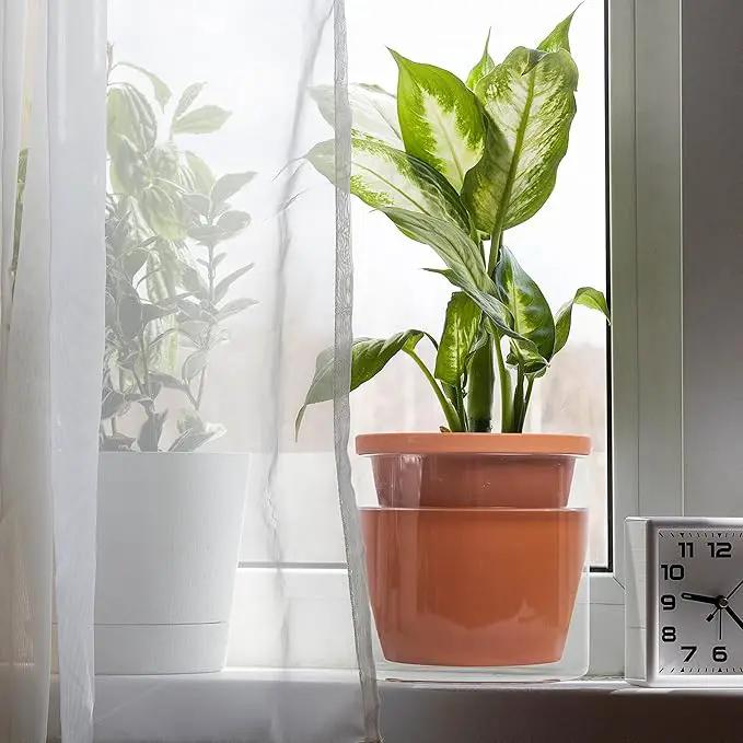 D'vine Dev 6 Inch Design Self Watering Pot for Indoor Plants, Terracotta Planter with Cylinder Glass Cup, Set of 2, 37-Y-B-1 by GreenHaven Gardens