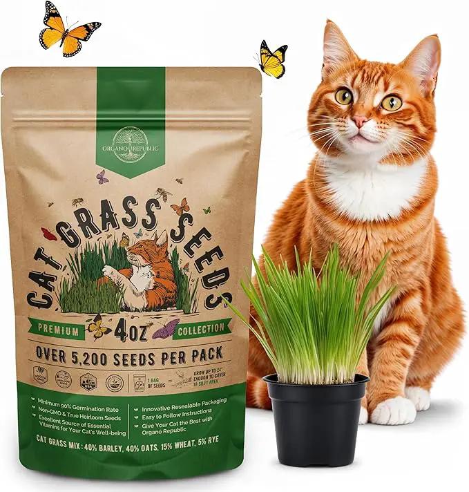 Cat Grass Seeds Mix - 5,200 Non-GMO Heirloom Seeds for Cats & Pets, 4 oz Pack for Growing Fresh Barley, Oat, Rye & Wheat Grass Seeds for Planting, Indoor Plants for Pets, Hairball Remedy for Cats by GreenHaven Gardens