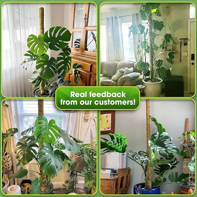 DUSPRO 80 Inches Large Moss Pole for Plants Monstera, Plant Stakes for Indoor Plants, Monstera Plant Support, Plant Support/Plant Pole for Big Climbing Plants Indoor (1pc., 80'') by GreenHaven Gardens