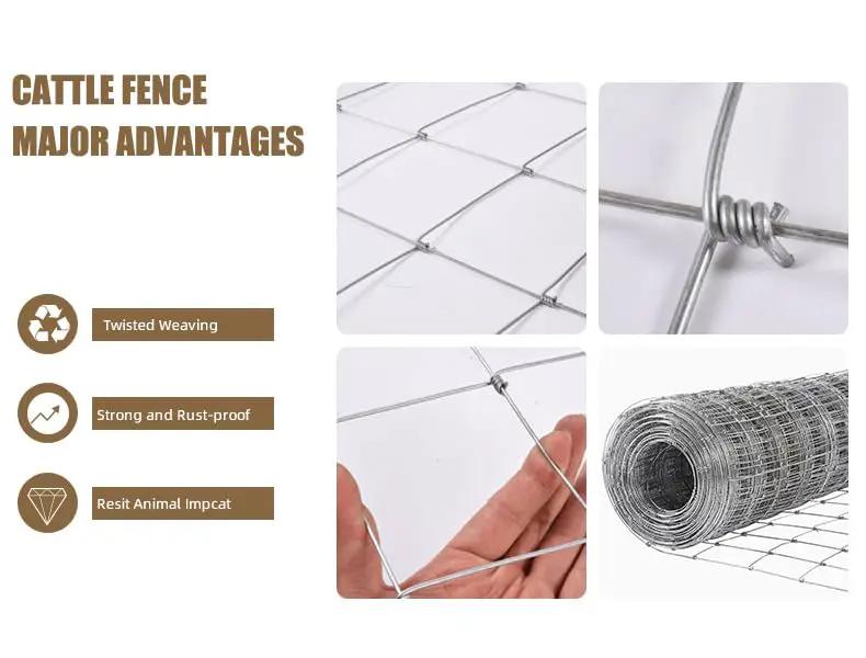 Farm Livestock Fence, 4.9FT x 328FT Galvanised Iron Wire by HouseOfZazla