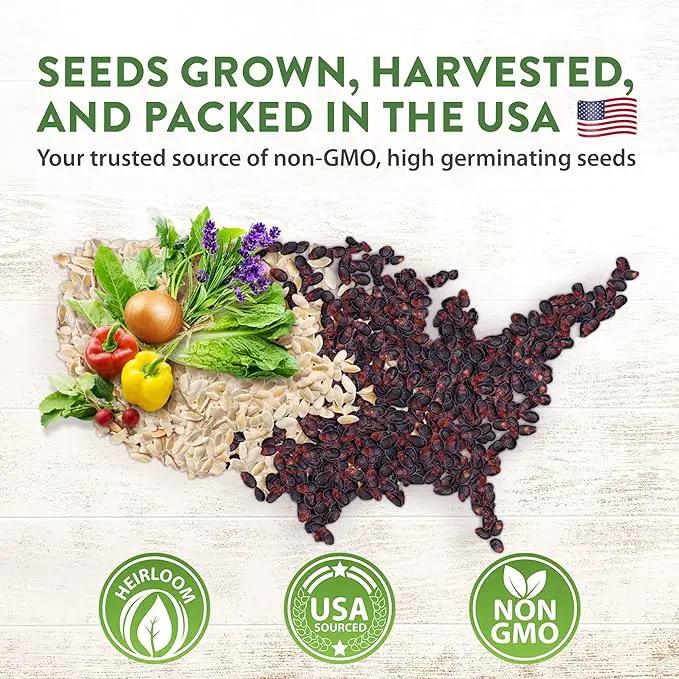 HOME GROWN 70 Variety Vegetable & Herb Seeds – 32,000+ USA Non-GMO Heirloom Survival Seeds –Garden Kit for Spring, Fall, Winter – Indoor & Outdoor Planting – Starter Set for Home Gardeners & Preppers by GreenHaven Gardens