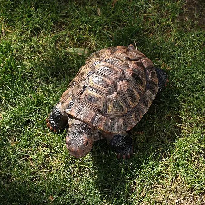 Turtle Statue, Resin Garden Sculpture Indoor/Outdoor Yard Lawn Ornament,Home Decor (Medium) by GreenHaven Gardens