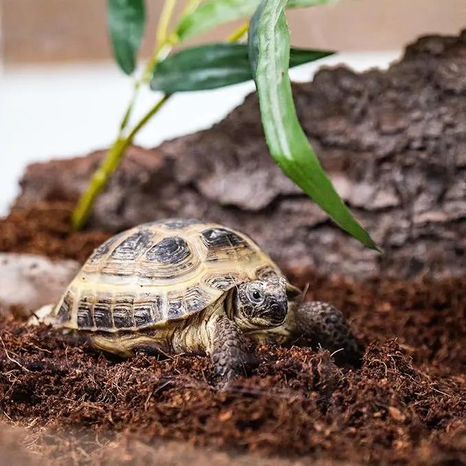 Terrarium Bedding - Superior Drainage, Nutrient Retention, and Water Retention for Thriving Terrarium Plants - 5 QUARTS by GreenHaven Gardens