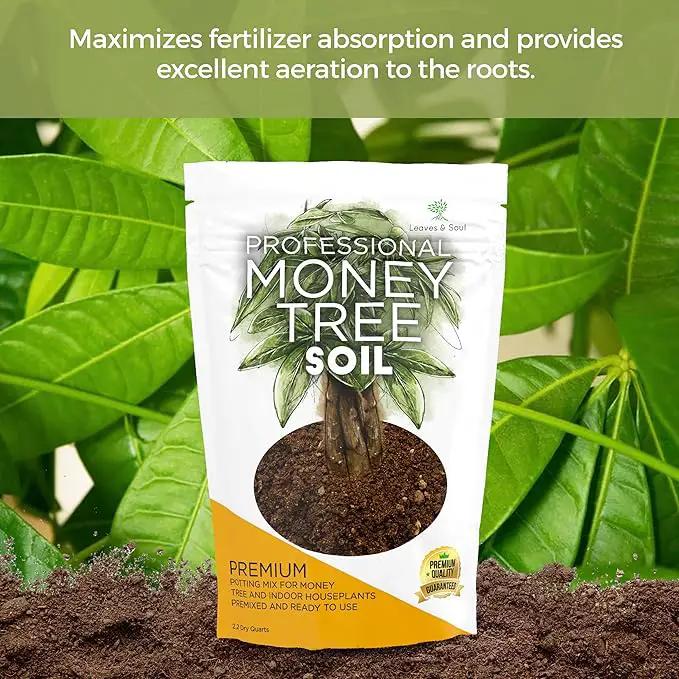Professional Money Tree Soil | Large 2.2 Quarts Ready to Use for Money Tree Plants | Peat Moss, Coco Coir, Perlite, Dolomite | Made in USA by GreenHaven Gardens