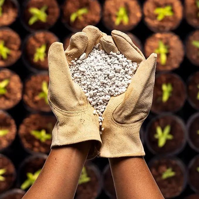 Perlite Bliss (24 Qts) - Organic Perlite for Plants - Coarse Perlite Bulk Soil Amendment - Chunky Perlite for Plants, Potting Soil, Garden Soil, & Coco Coir - Horticultural Perlite for Gardening by GreenHaven Gardens