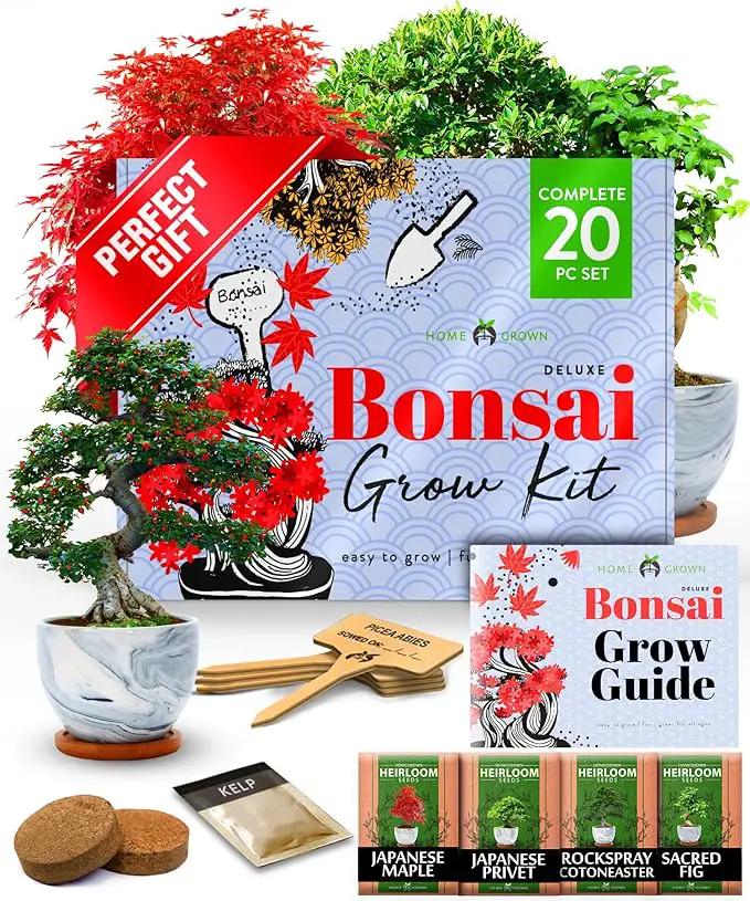 HOME GROWN Bonsai Tree Kit - Premium Ceramic Starter Kit - 4 Variety of Bonsai - Unique Gift for Men and Women Gardeners by GreenHaven Gardens