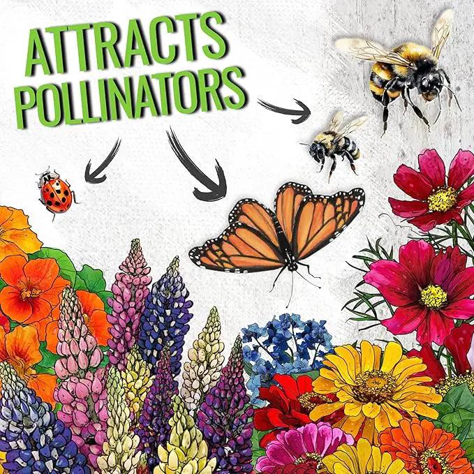 Seed Needs Wildflower Seeds Hummingbird and Butterfly Seed Mix | 5 Packs (1 Ounce Each) No Filler 23 Varieties Garden Seeds Annual & Perennial Species | Pollinator Attracting Flower Seed | Bulk by GreenHaven Gardens