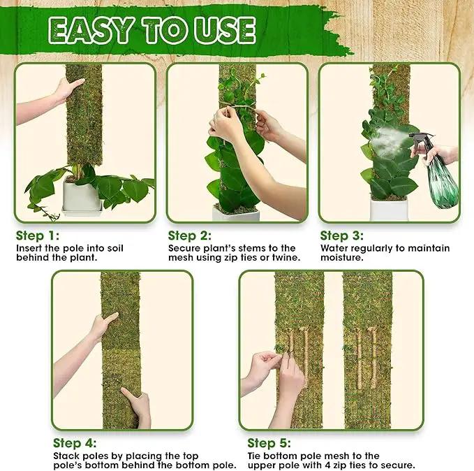 DUSPRO Flat Mesh Moss Poles for Climbing Plants Monstera Stackable Moss Pole for Plants with Real Moss Moss Plant Pole for Potted Plants Handmade Moss Stick for Indoor Plants Grow Upward 2 Pack 22” by GreenHaven Gardens