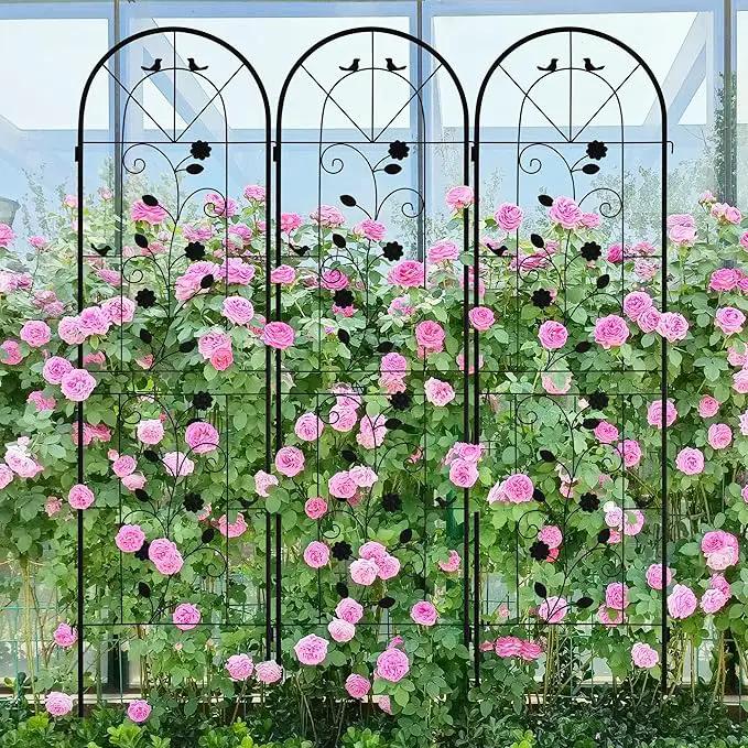 LZRS 4 Pack Rustic Iron Arch Decoration Garden Trellis with Black Metal Coating – Perfect for Supporting Climbing Plants Outdoor, Roses, Vines, Flowers, and Vegetables. by GreenHaven Gardens