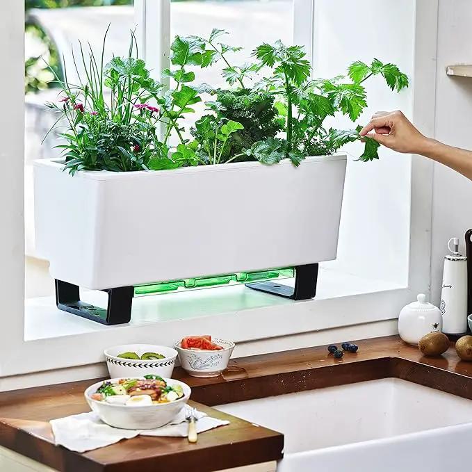 Glowpear Self-Watering Mini Bench Planter - 23.6" in Pot, Free Standing, UV Stable, Scalable, Indoor | Outdoor Pot with Water Gauge, for Home Kitchen Windowsill Gardening by GreenHaven Gardens