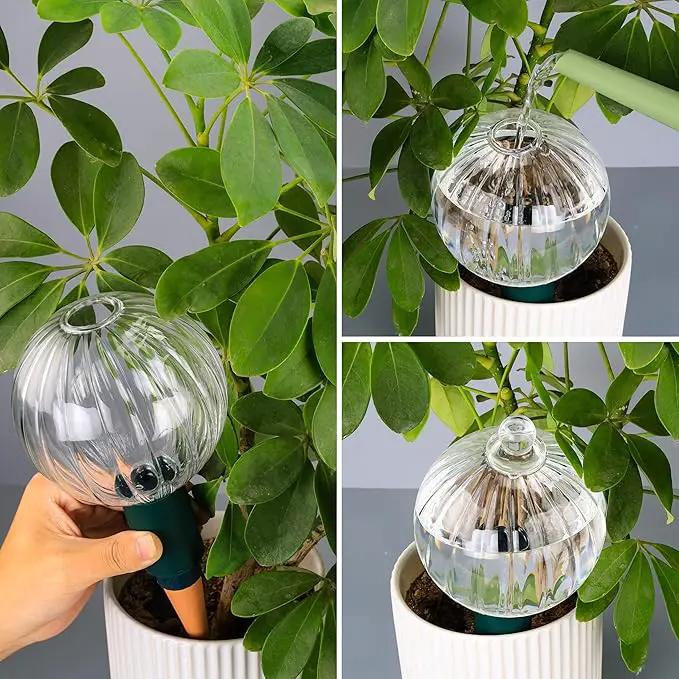 23 oz Extra Large Plant Watering Globes Top Fill, Clear Glass Water Bulbs with Terracotta Spikes Stake, Vacation Slow Release Self Watering Planter Insert, Automatic Drip Device, 1 Pack by GreenHaven Gardens