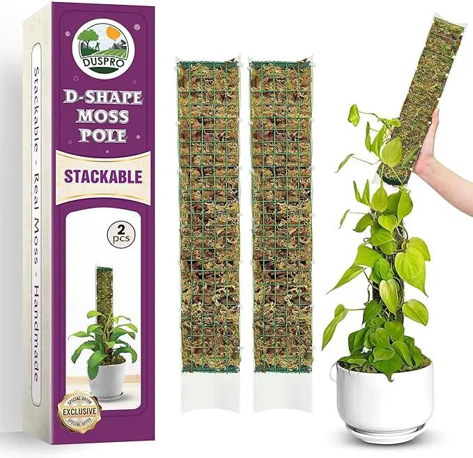 DUSPRO D-Shaped Plastic Moss Poles for Climbing Plants Monstera Stackable Moss Pole for Plants Moss Plant Pole Handmade Moss Stick for Indoor Plants Grow Upward 2 Pack 16.5 inches by GreenHaven Gardens