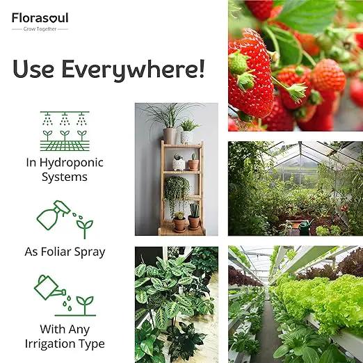 Florasoul® Plant Booster – Organic Vegan Fertilizer for Self-Sufficient Gardeners! All-Purpose, Nutrient-Rich Plant Food for Lush Growth, Vibrant Flowers & Healthy Soil – 100% Natural, Pet-Safe by GreenHaven Gardens