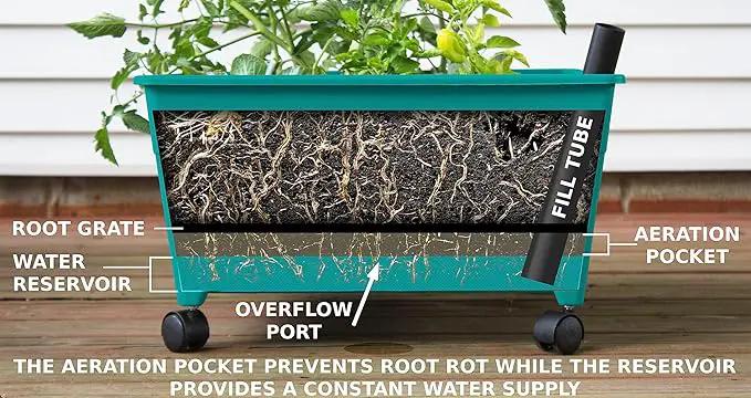 Emsco Group 2360 Little Pickers Raised Bed Children’s Improved Aeration – Mobile Unit with Casters – Teaches Kids Self Watering Grow Box, Teal by GreenHaven Gardens