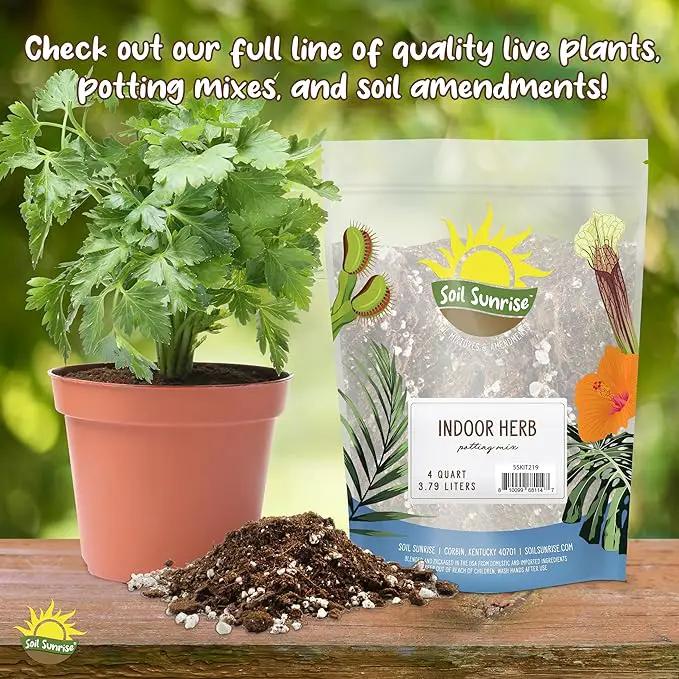 Aroid Plant Potting Soil Mix (8 Quarts), for Pothos Devil's Ivy, ZZ Plant, Chinese Evergreen, Dumb Cane, Philodendron, Syngonium, Alocasia, Colocasia Etc. by GreenHaven Gardens