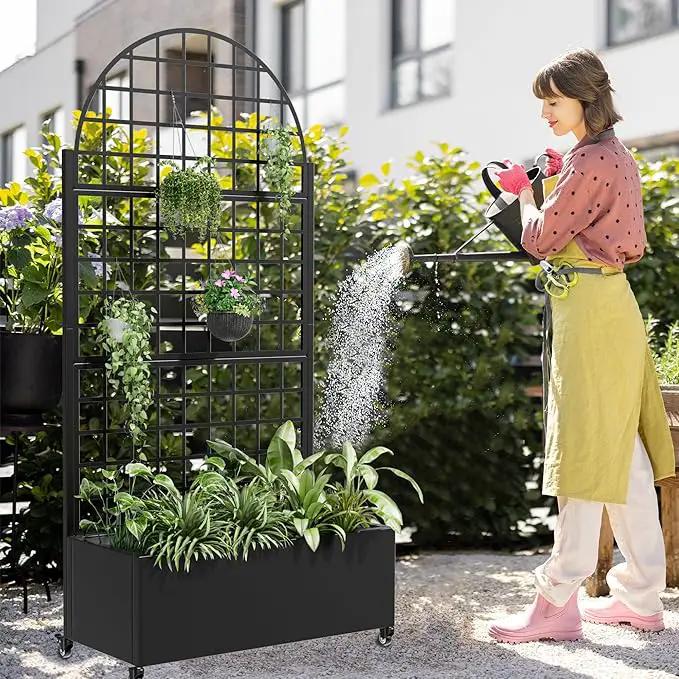 Casaphoria Metal Raised Garden Bed with Trellis and Wheels, 72"x35"x16" Arched Planter Box for Climbing Plants, Vegetables & Vines, Features Drainage Holes and Privacy Screen (Black-Grid) by GreenHaven Gardens