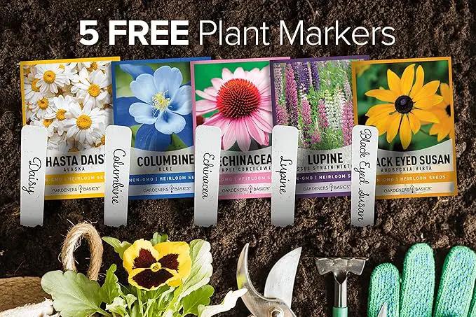 Gardeners Basics, Perennial Flower Seeds for Planting Outdoors (5 Variety Pack) Lupine, Columbine, Echinacea Purple Coneflower, Black Eyed Susan, Shasta Daisy for Pollinators Wildflower Seed by GreenHaven Gardens
