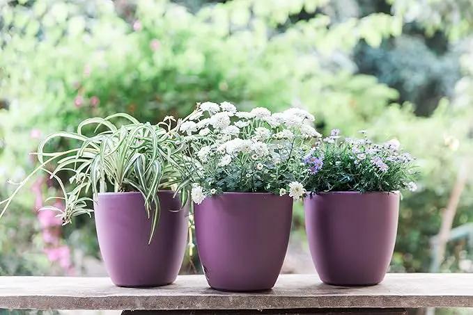 GARDENIX DECOR Self Watering Pots for Indoor Plants 3 Pack - Flower Pot with Water Level Indicator for Plants, Grow Tracking Tool - Self Watering Planter Plant Pot - Coco Coir - Purple by GreenHaven Gardens
