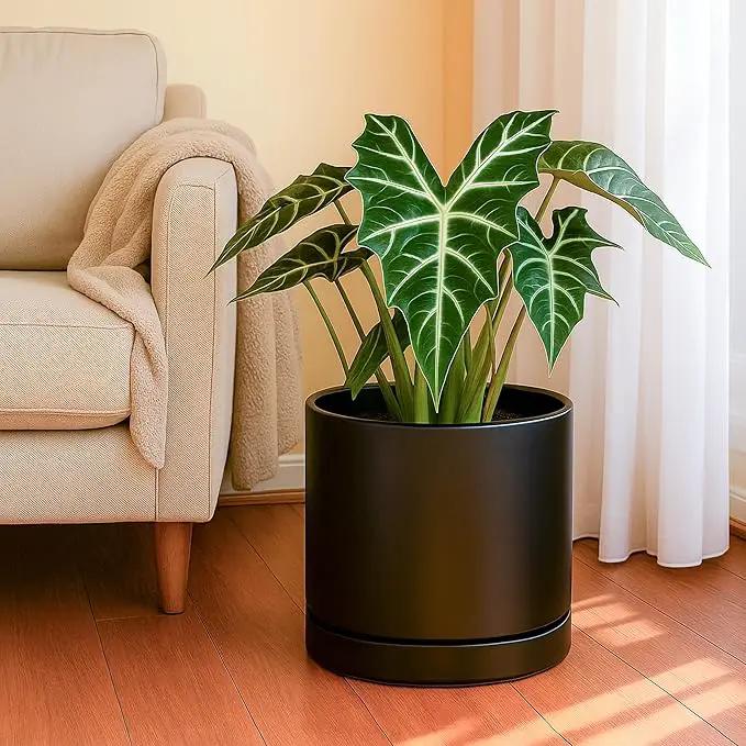 D'vine Dev 8 Inch & 10 Inch Ceramic Planter Pot for Plants with Drainage Hole and Saucer, Large Plant Pots Set, Black, 94-G-L-2 by GreenHaven Gardens