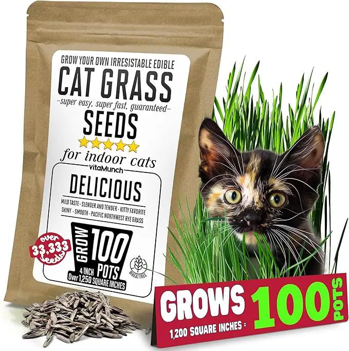 Cat Grass Seeds – Smooth Tasty Ryegrass – Grows 100 Pots of Fresh Cat Grass for Indoor Cats & Kittens – Easy & Fast – Bulk Rescuer's Pack Grows 1,250 Square inches of Edible cat Grass Vitamunch by GreenHaven Gardens