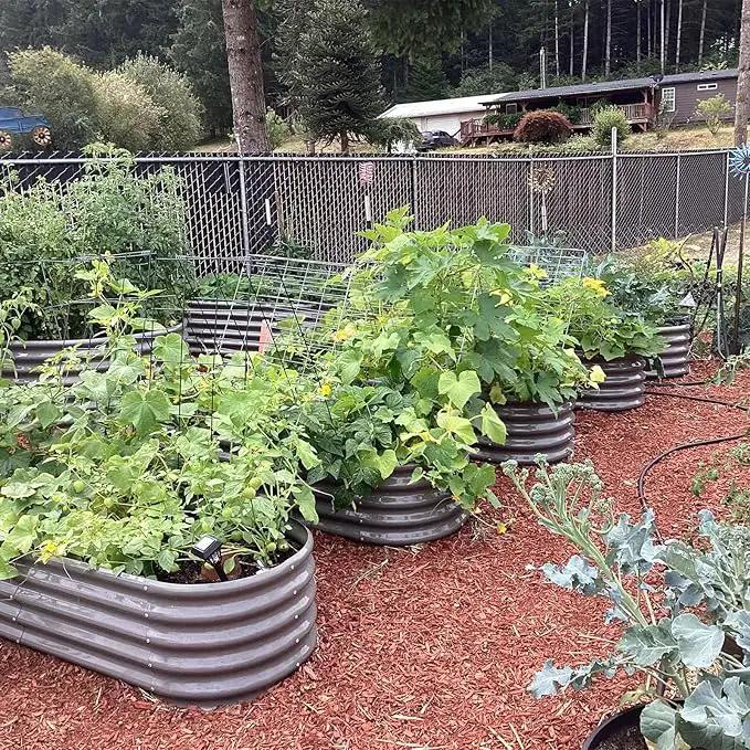 A ANLEOLIFE 6X2X1.5 ft Galvanized Raised Garden Beds Outdoor, Oval Round Metal Planter Box for Planting Vegetables Flowers Herb, Anti-Rust & Easy-Setup, Quartz Grey by GreenHaven Gardens