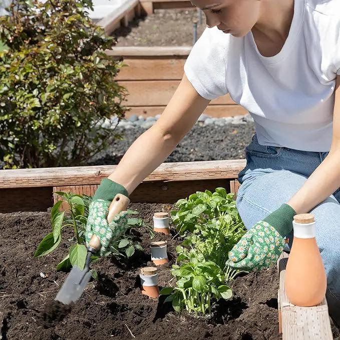 Plant Self Watering Globes - Terracotta Watering Spikes - Slow Release Olla Watering Pots - Drip Irrigiation Olla System by GreenHaven Gardens