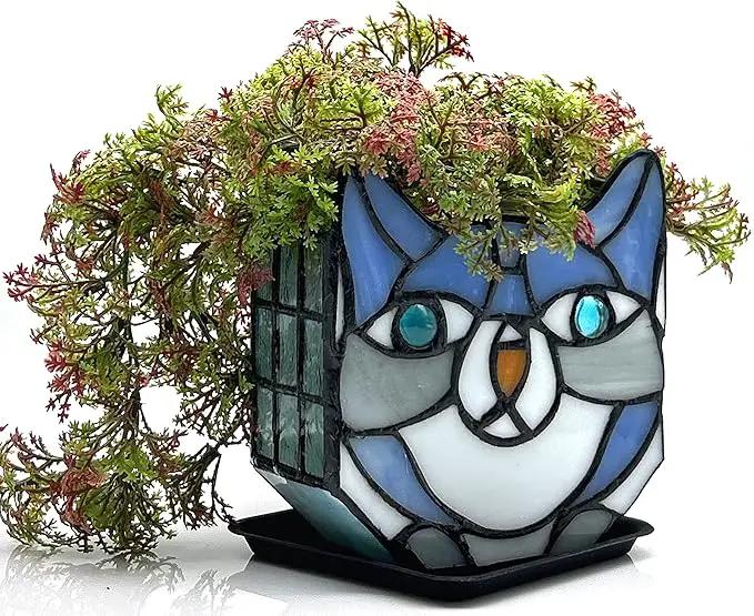Indoor Plant Display Glass Container, Unique Pots for Plants, Glass Container Decoration,Suitable for Growing Small Plants 4.6x5.15x3 in （Excluding Plants） by GreenHaven Gardens