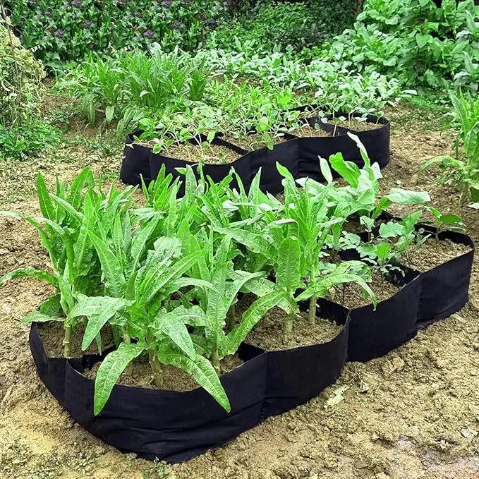 2 Pack 6x3x1ft Fabric Raised Garden Beds,128 Gallon 8 Grids Rectangle Plant Grow Bags,Durable Outdoor Gardening Planting Container Planter Pot for Growing Herbs Flowers Vegetables Potatoes Chillies by GreenHaven Gardens