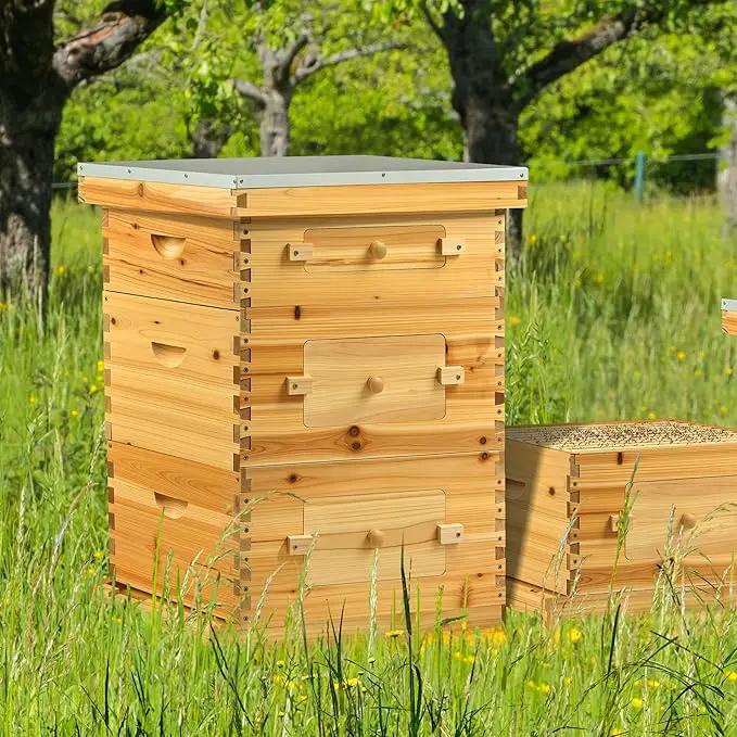 CREWORKS 10 Frame Bee Hive, 3 Layers Beeswax Coated Beehive Starter Kit with Frames & Foundations, Langstroth Bees Hives Box with Transparent Acrylic (Window Medium Box & 2 Deep Boxes) by GreenHaven Gardens