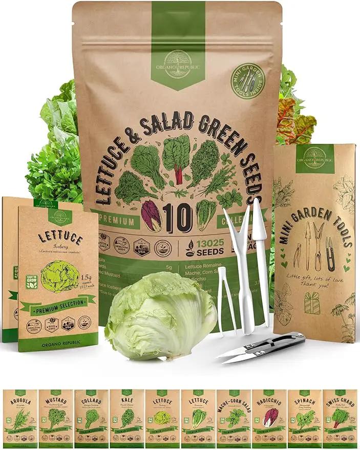 Organo Republic 10 Lettuce & Salad Greens Seeds Variety Pack 13000+ Non-GMO Heirloom Lettuce Seeds for Planting Indoors & Outdoors Garden, Hydroponics - Arugula, Radicchio, Kale, Spinach, Swiss Chard by GreenHaven Gardens