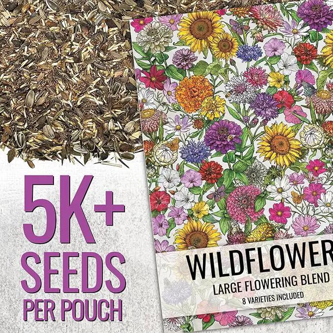 Seed Needs Garden Flower Seeds Large Blooms Mix Hummingbird and Butterfly | 10 Packs (1 Ounce Each) No Filler 7 Varieties Open Pollinated | Resealable Package Live Wild Flower Seed | Bulk by GreenHaven Gardens