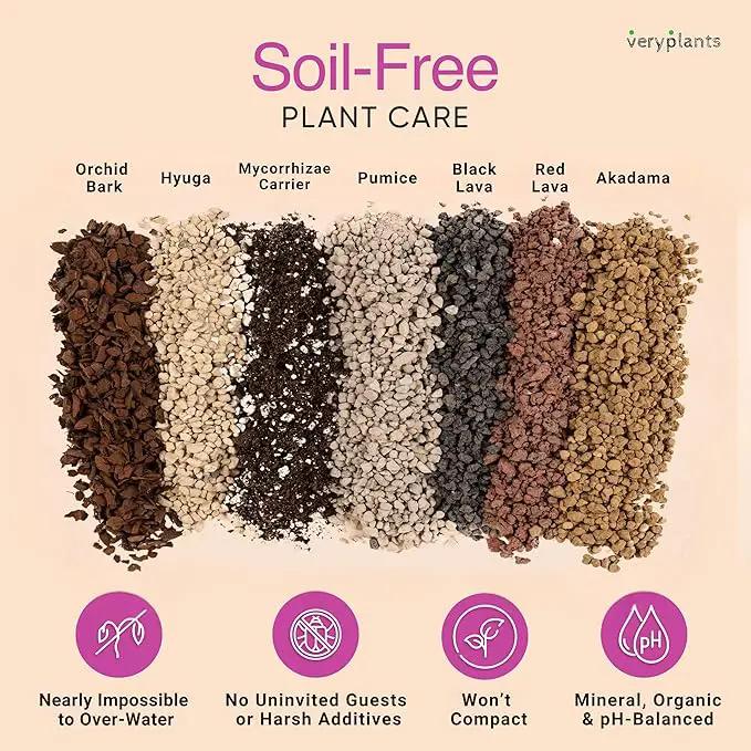 Molly's Succulent Mix - Premium Gritty Soilless Potting Mix for Succulents, Cactus and Bonsai - Contains Akadama, Hyuga, Bark Fines, Pumice, Lava Rock, Mycorrhizae 5 Dry Quarts by GreenHaven Gardens