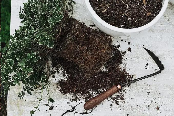 Barebones Japanese Weeding Hoe - Hoe Garden Tool - Durable Stainless Steel Hand Tool for Weeding and Digging (Walnut/Black) by GreenHaven Gardens