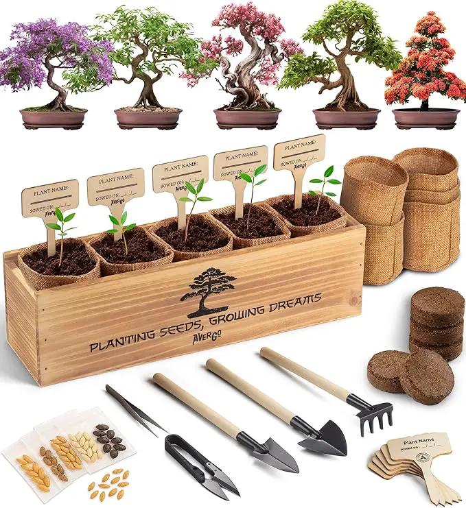 Bonsai Tree Kit for Beginners – 5X Unique Japanese Bonzai Trees | Complete Indoor Starter Kit for Growing Bonsai Plants with Tools & Planters – Gardening Gifts for Women & Men by GreenHaven Gardens
