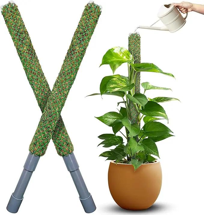 DUSPRO Self-Watering Natural Green Forest Moss Pole, Easy to Use Moss Sticks for Indoor Plants, Climbing Plant Support Stake with Self-Watering Feature, Moss Pole Monstera Plant Support 2pcs 23'' by GreenHaven Gardens