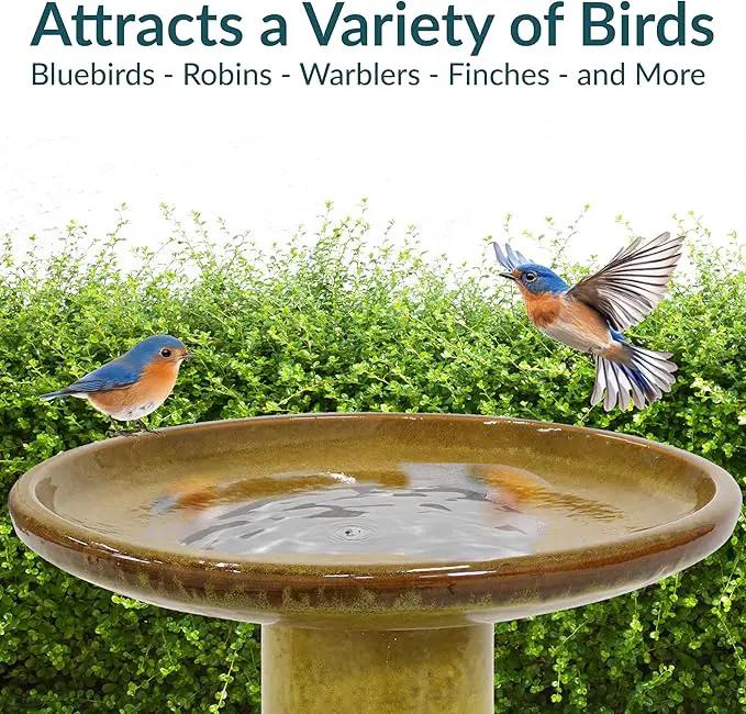 Sunnydaze 21" H Ceramic Bird Bath for Outside - Hand-Painted Outdoor Bird Bath Bowl, UV/Frost-Resistant Finish - Cognac Yellow - Ribbed Pedestal by GreenHaven Gardens