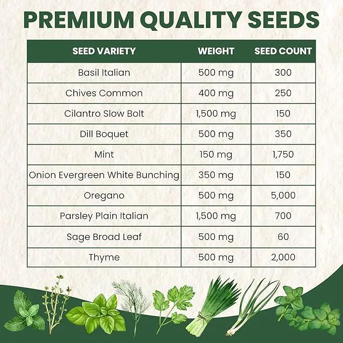 Herb Seeds | 10 Invidiual Packs | 2025 Season | Non-GMO | Mint, Parsley, Basil, Thyme & More! | for Planting Indoor & Outdoor | by Family Sown by GreenHaven Gardens