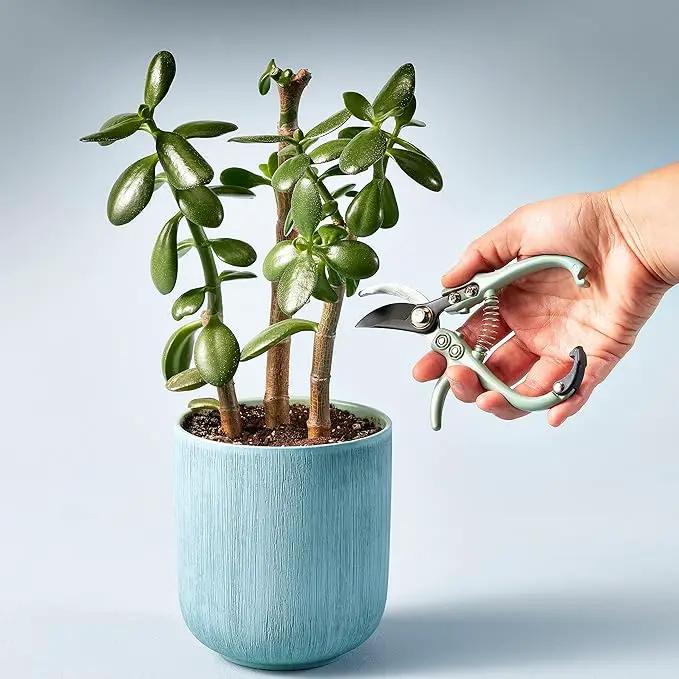 Modern Sprout Hand Pruners - Lightweight Pruning Shears W/Easy Lock- Gardening Scissors - Bypass Sharp Carbon Steel Blade - Rust Resistant - Garden Tools - Reusable Holster - Green by GreenHaven Gardens