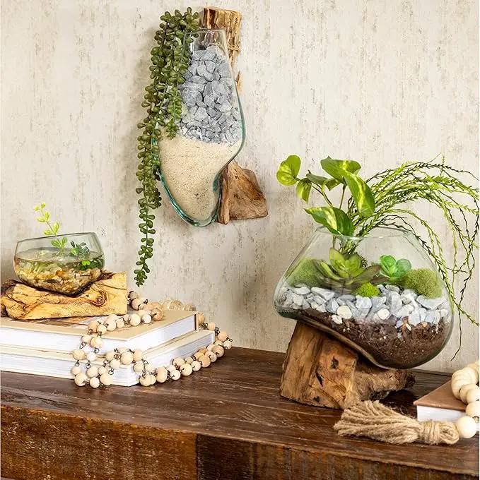Cape Craftsmen 10" H Hand-Blown Blue Tinted Bubble Glass On Natural Teak Driftwood Terrarium | Home Décor Indoor Planter with Stand | Pot for Succulent and Plants by GreenHaven Gardens