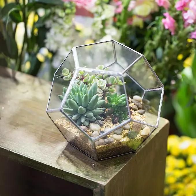 NCYP Small Silver Glass Geometric Terrarium for Succulents Air Plants, 6.89 x 6.89 x 5.9 Inches, Indoor Home Garden Planter Pot, Tabletop Decor Centerpiece, Handmade (Only Terrarium) by GreenHaven Gardens