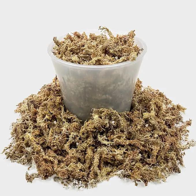 Sphagnum Moss Potting Mix for Carnivorous Plants - 10 Quart - Moss and Perlite Blend for Potting Venus Fly Traps, Sarracenia, Pitcher Plants (2 Bags of 5QT) by GreenHaven Gardens