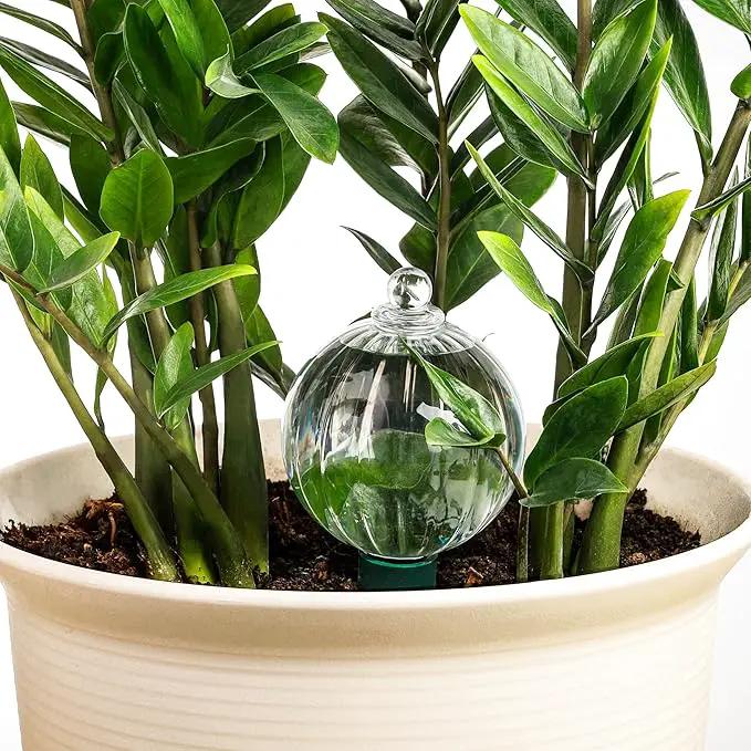 23 oz Extra Large Plant Watering Globes Top Fill, Clear Glass Water Bulbs with Terracotta Spikes Stake, Vacation Slow Release Self Watering Planter Insert, Automatic Drip Device, 1 Pack by GreenHaven Gardens
