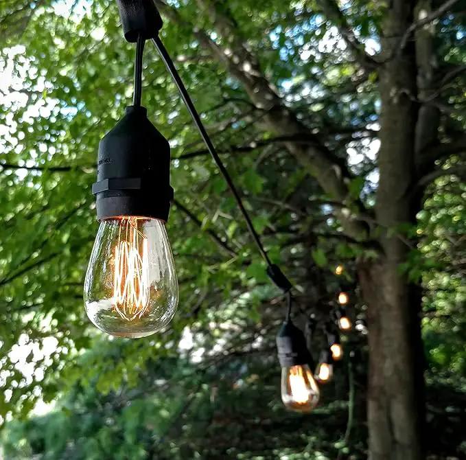 Hometown Evolution, Inc. 50 Foot E26 Commercial Edison Bulb String Lights with 25 Suspended Sockets and S14 Lantern Edison 11 Watt Bulbs by GreenHaven Gardens