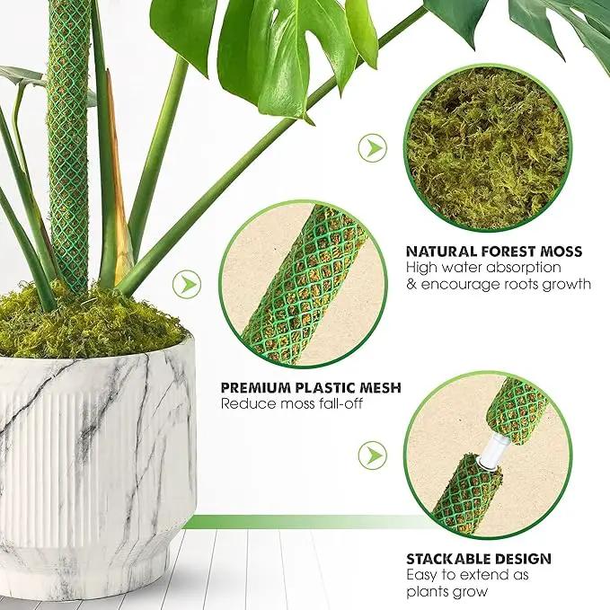 DUSPRO Green Stackable Mesh Moss Pole for Plants Climbing Vine Supporting Monstera Trellis, for Indoor Plants Extendable Plant Pole Moss Sticks, for Plants Monstera Potted Plant Stakes 2 pcs 22'' by GreenHaven Gardens